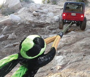 Bubba Rope Renegade